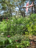 Garden & Coop Tour 2012 - Bird Sculpture