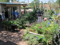 Garden & Coop Tour 2012 - City Garden with Raised Beds