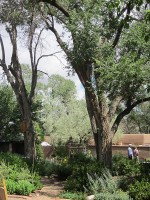 Garden & Coop Tour 2013 - Big Cottonwoods Garden & Coop Tour 2013 - Big Cottonwoods