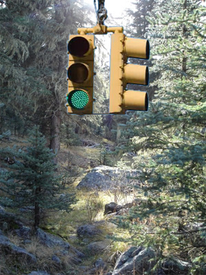Traffic Signal in the Forest