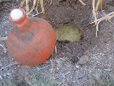 Olla and encircling root bowl Olla and encircling root bowl