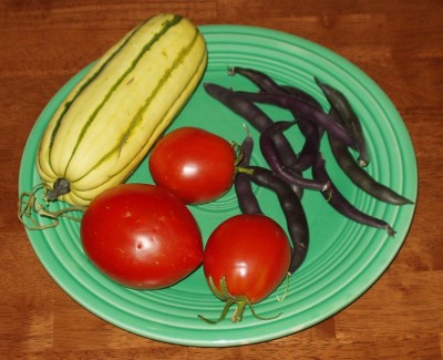 Delicata Squash, Amish Paste Tomatoes and Purple Pod Beans Delicata Squash, Amish Paste Tomatoes and Purple Pod Beans