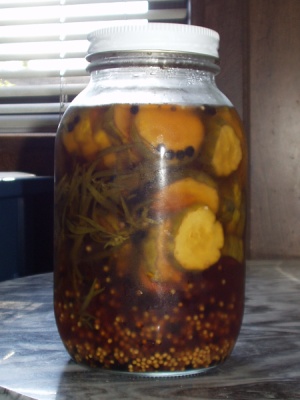 Tarragon Cucumber Pickles