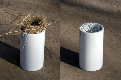 Thermometer Shield with and without bird nest Thermometer Shield with and without bird nest