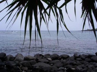 WWOOF Hawaii - Two steps to the Pacific
